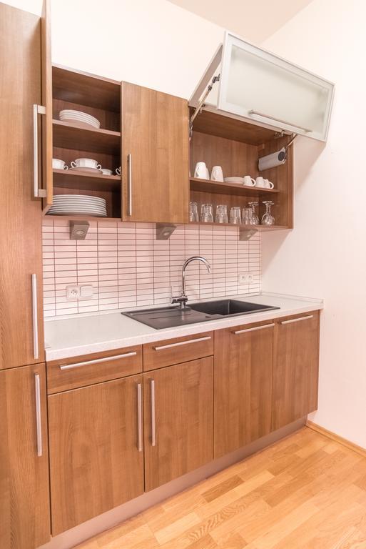 Apartment Sirius D In Center Of Cb. Чеське Будєйовіце Екстер'єр фото